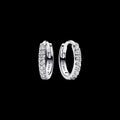 Sparkling Huggie Hoop Earrings